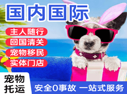 玉树巴塘航空快递国际宠物托运 【国